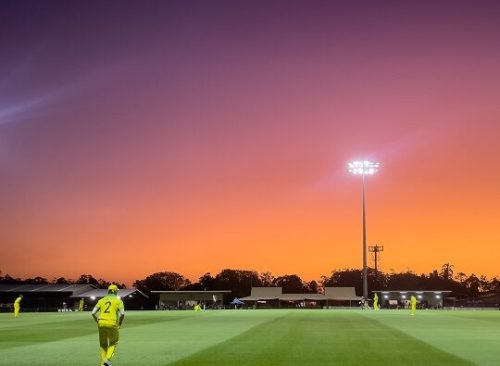 Cricket 365 Sunsetlr